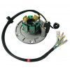 Stator for variable advance ignition / GPX