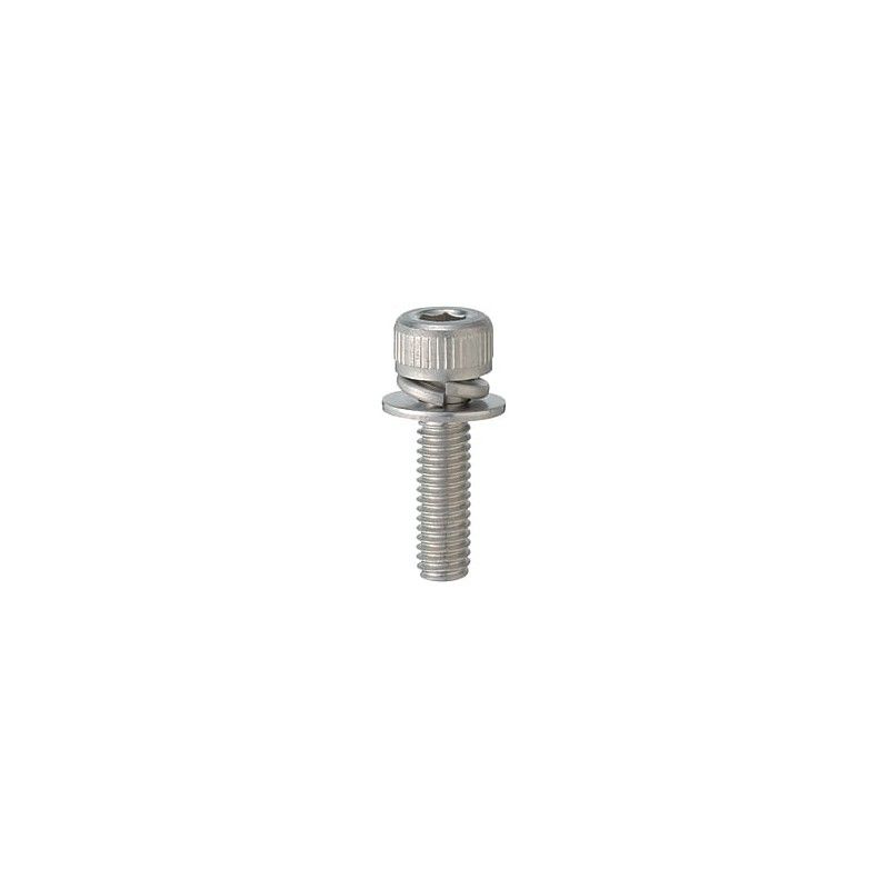 M5 x 20 Allen Screw for Minimoto Starter Cover  AVO - 1