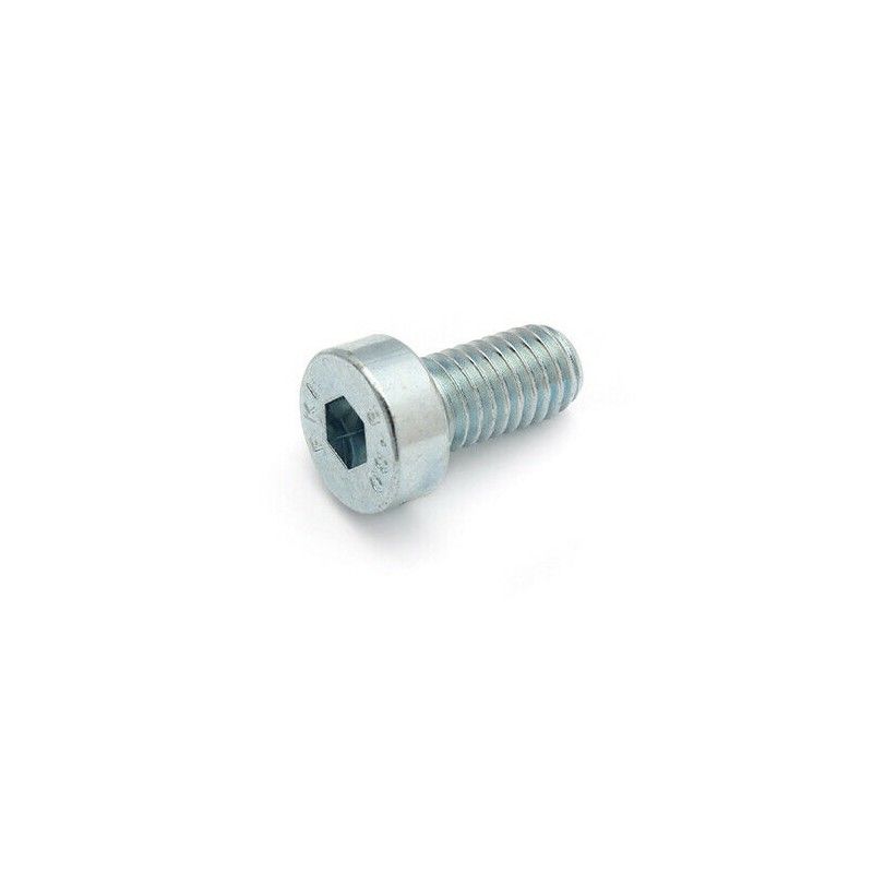 M8 x 15 nickel-plated Allen screw  AVO - 1