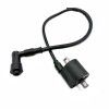 Bobina Pitbike Standard 1 Pin Per Impianto Elettrico GPX / ZONGSHEN