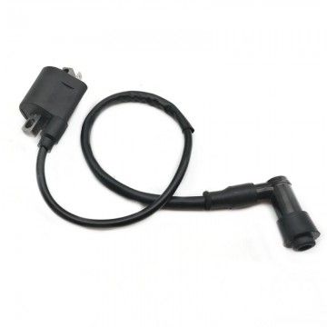 Bobina Pitbike Standard 1 Pin Per Impianto Elettrico GPX / ZONGSHEN  AVO - 2