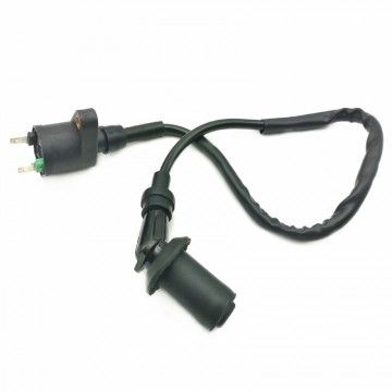 Bobina Pitbike Standard 2 Pin Per Impianto Elettrico YX  AVO - 1