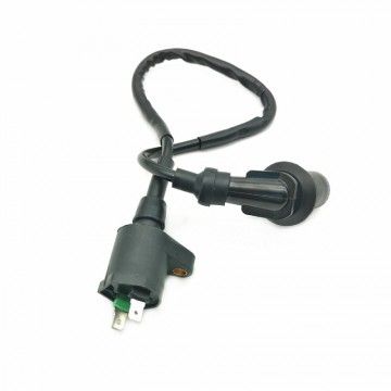 Bobina Pitbike Standard 2 Pin Per Impianto Elettrico YX  AVO - 2