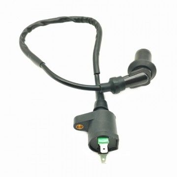 Bobina Pitbike Standard 2 Pin Per Impianto Elettrico YX  AVO - 3