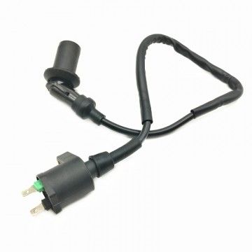 Bobina Pitbike Standard 2 Pin Per Impianto Elettrico YX  AVO - 4
