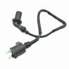 Standard 2 Pin Pitbike Coil for YX Electrical System