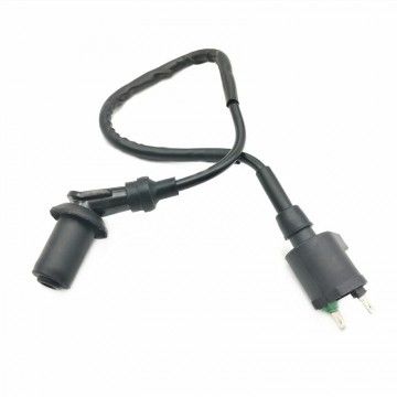 Standard 2 Pin Pitbike Coil for YX AVO Electrical System - 6