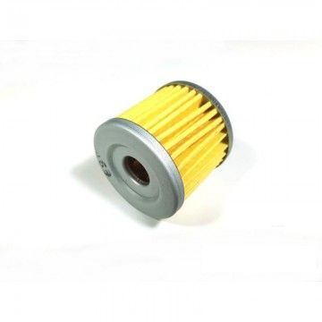 Internal paper oil filter for GPX / ZONGSHEN 155 AVO engines - 1