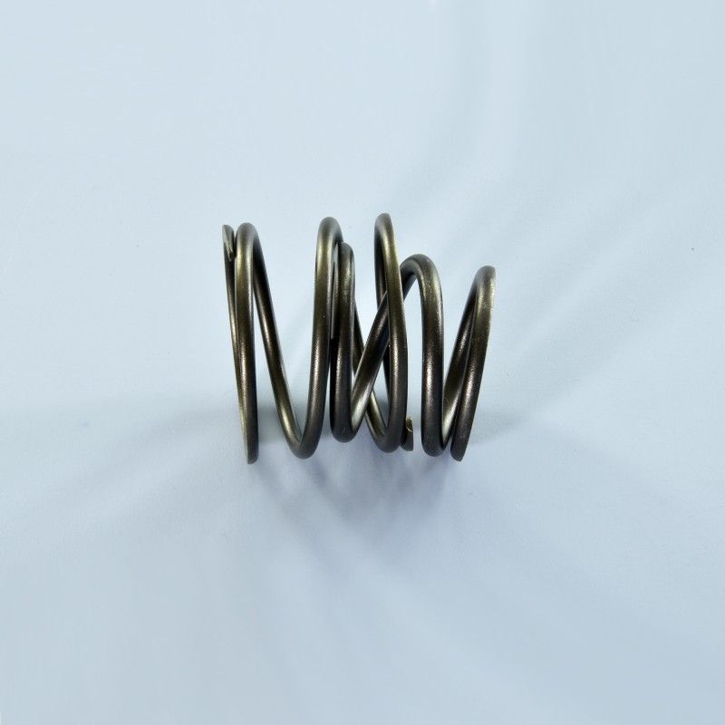 DOUBLE POLINI CLUTCH SPRING FOR VESPA 50 SPECIAL - PRIMAVERA - ET3 228 POLINI - 1