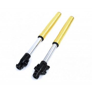 650mm Hydraulic Forks for MiniGP AVO - 1
