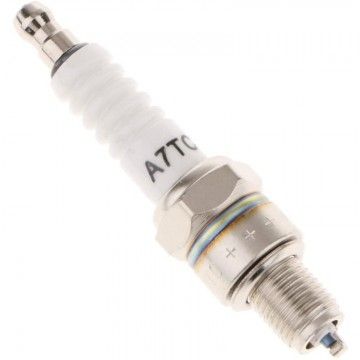 Candela LG A7TC (testa scomposta)  AVO - 1