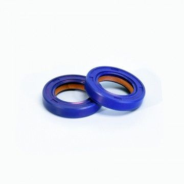 Pair of CRANKSHAFT OIL SEALS MINIMOTO 15 x 24 x 5 PTFE/FKM POLINI 285.007  POLINI - 1