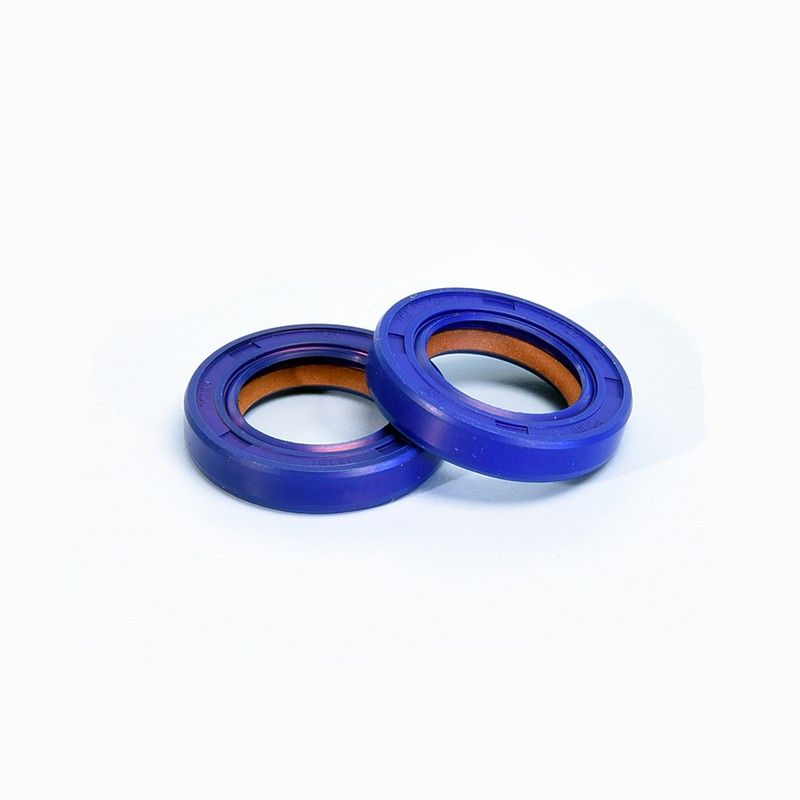 Pair of CRANKSHAFT OIL SEALS MINIMOTO 15 x 24 x 5 PTFE/FKM POLINI 285.007  POLINI - 1