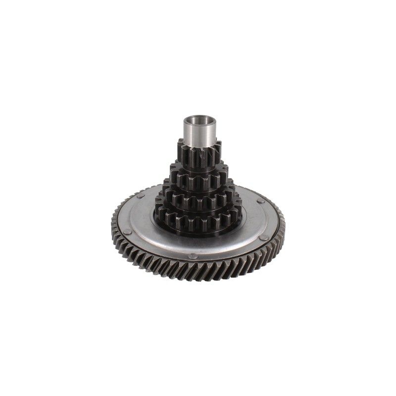 COMPLETE MAIN SHAFT WITH 12x16x20x25 FLEXIBLE COUPLING CROWN Z67 RMS: 10  RMS CLASSIC - 1