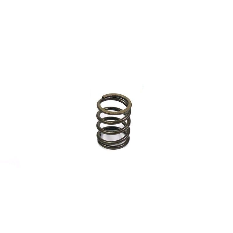 Valve kit with reinforced springs and ergal plates for YX head  AVO - 2