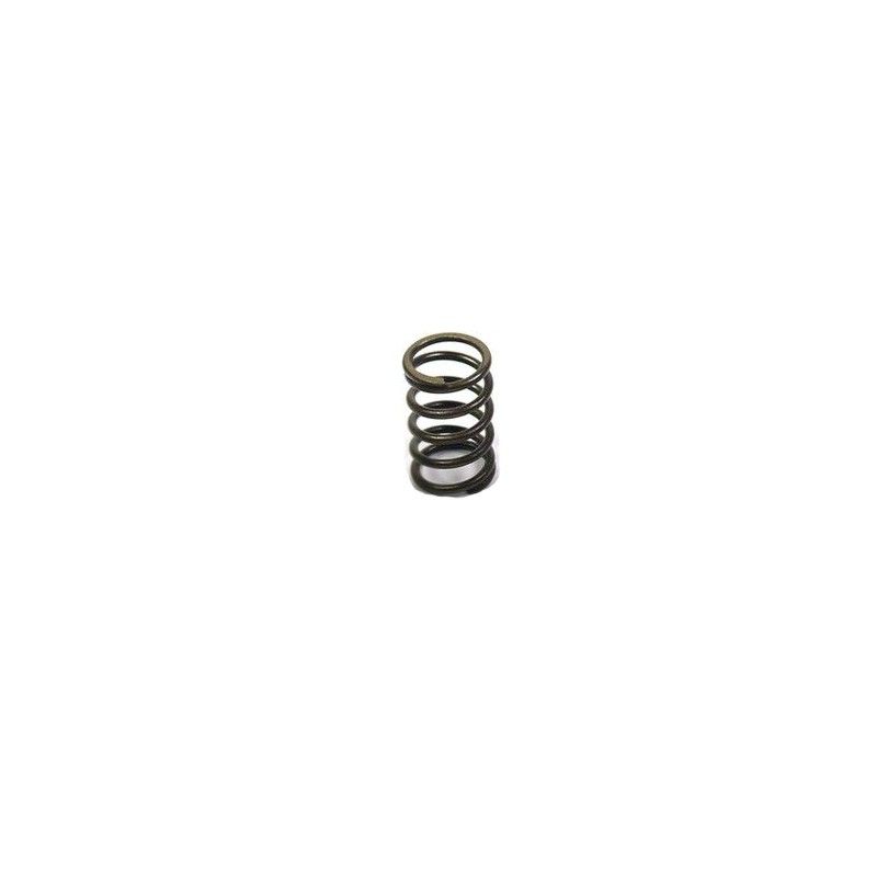 Valve kit with reinforced springs and ergal plates for YX head  AVO - 3