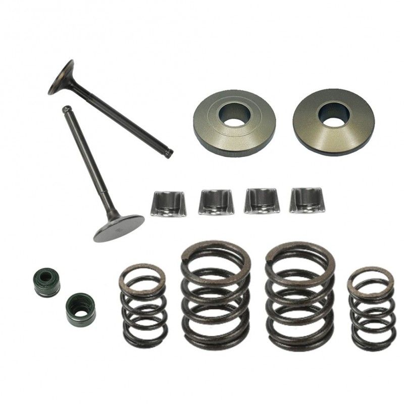 Valve kit with reinforced springs and ergal plates for YX head  AVO - 1