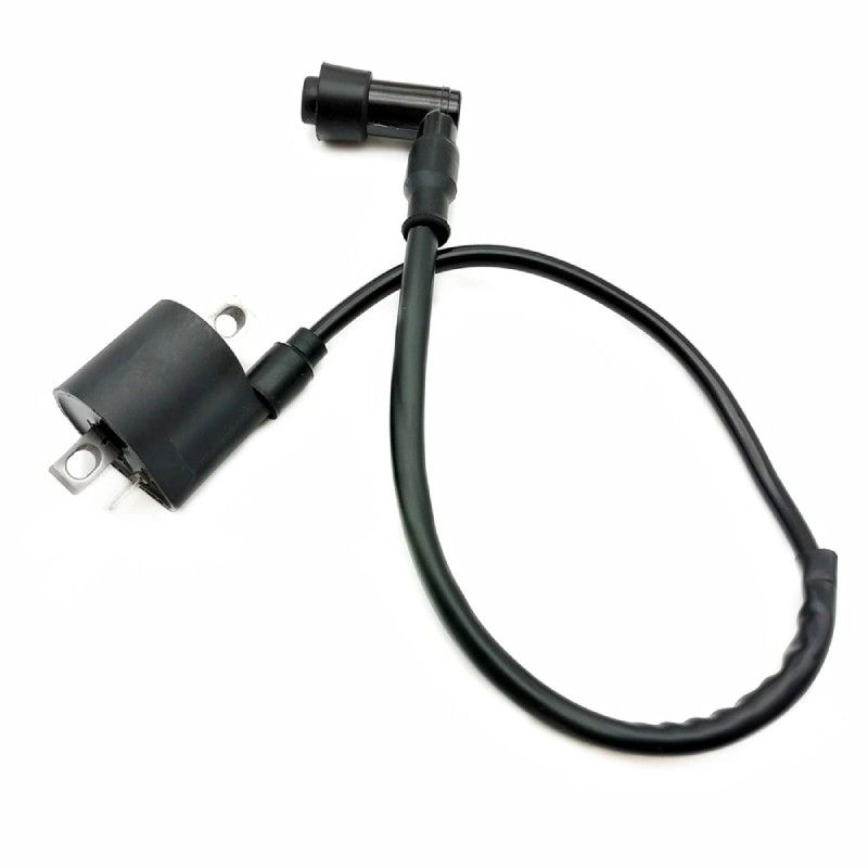 GPX Complete Ignition with Electrical System  AVO - 5