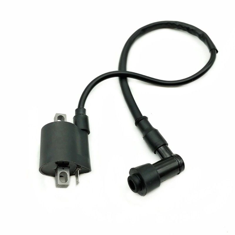GPX Complete Ignition with Electrical System  AVO - 12