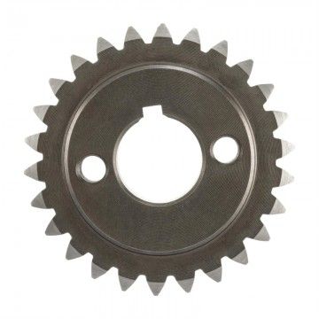 Pignone Ingranaggio Primaria Vespa Z 25 VMC per rapporti 27 - 69 denti d  VMC RACING - 2