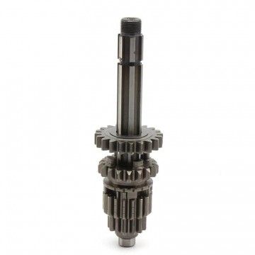 Albero Cambio Primario Per 140 / 150 / 160 YX  AVO - 1