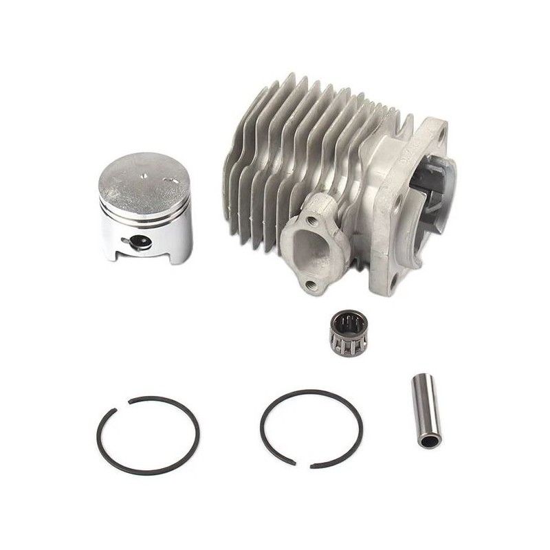 Big bore cylinder block 49cc 7 transfers AVO - 1