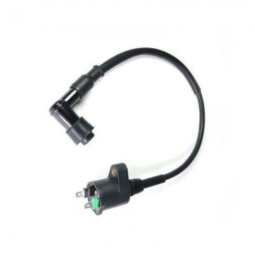 Bobina Pitbike Standard 2 Pin Per Impianto Elettrico YX  AVO - 7