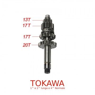 Albero Cambio Primario Per YX - ZR1 - 1 e 2 Lunga e 4 Normale ( Tokawa )  AVO - 1