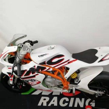 MiniGP VMC 10P FF-11 Motore YX 160cc  VMC RACING - 2