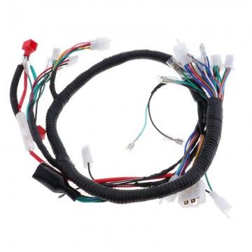 Pitbike Starter Motor Wiring  AVO - 1