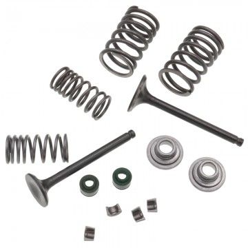 Valve Kit For GPX / ZONGSHEN 110 / 125 head  AVO - 1