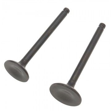 Kit Valvole Per testa GPX / ZONGSHEN 110 / 125  AVO - 6