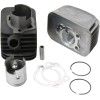 65cc Cylinder Kit, 10 pin, 43 mm diam., complete with head for Piaggio Ciao, Sì, Bravo, Boxer, Boss, and Grillo


