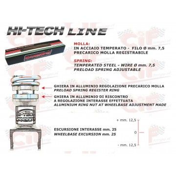 AMMORTIZZATORE POSTERIORE CARBONE "HI TECH" REGISTRABILE - NERO - VESPA  CARBONE - 2