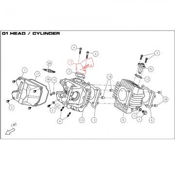 Intake Manifold for DAYTONA 190 Engine - 86404  DAYTONA - 1