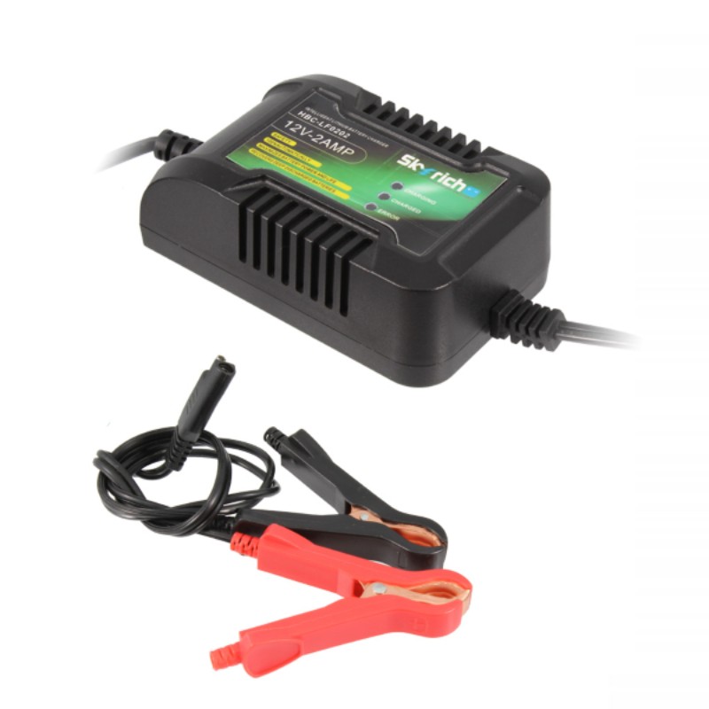 SKYRICH 6V/12V 1A Multifunction Battery Charger and Maintainer for LiFePO  SKYRICH - 1