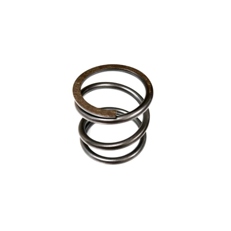 EVOK REINFORCED CLUTCH SPRING FOR RMS SINGLE SPRING CLUTCH GROUP: 100220023  EVOK - 1