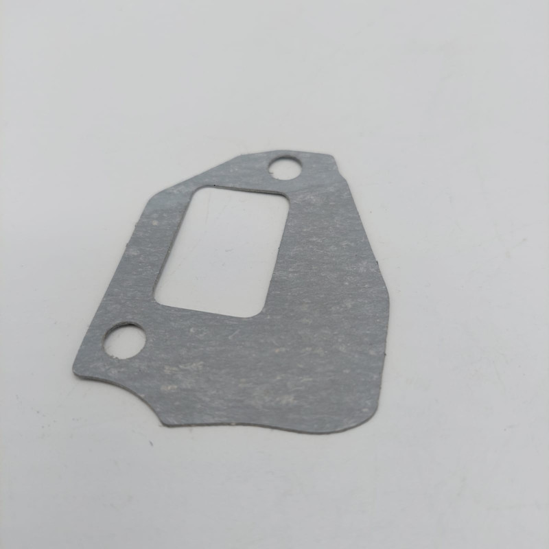 Guarnizione Porta Pacco Collettore 2 Fori VMC  AVO - 1