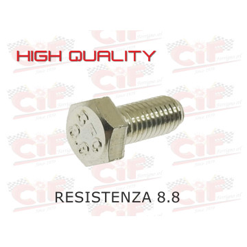 VITE ZINCATA TESTA ESAGONALE M5x12 (CLASSE 8.8) PER PIASTRINA FISSA CAVO CONTAKM. VESPA CIF : 3605-12  CIF - 1