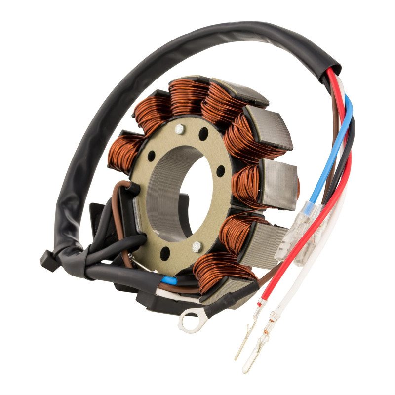 Accensione SIP by VAPE 12V CC Anticipo Fisso Elestart per Vespa Large Frame 51007DEC  SIP - 6