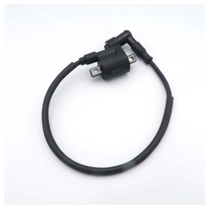 Bobina Pitbike Standard 1 Pin Per Impianto Elettrico GPX / ZONGSHEN  AVO - 5